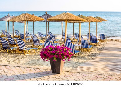 Playa de arena con maceta de flores de color violeta cerca del camino de madera hacia el mar entre las auténticas sombrillas de la costa de Grecia.