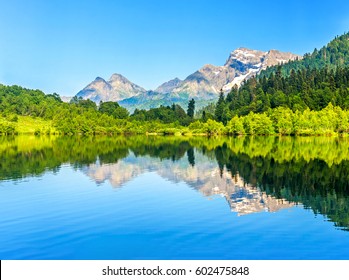 山の湖の森の反射風景