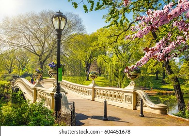 Cầu hình cung ở công viên trung tâm vào một ngày nắng xuân, thành phố New York