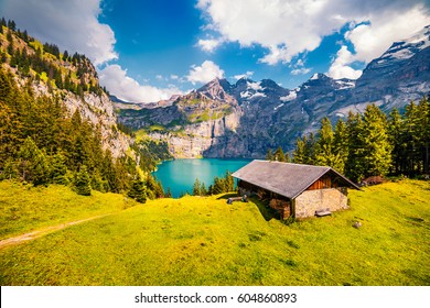 ユニークな Oeschinensee 湖のカラフルな夏の朝。Bluemlisalp 山、Kandersteg 村の場所、スイス、ヨーロッパとスイス アルプスの素晴らしいアウトドア シーン。