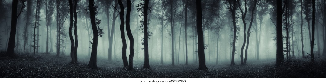 bosque oscuro panorama fantasía paisaje