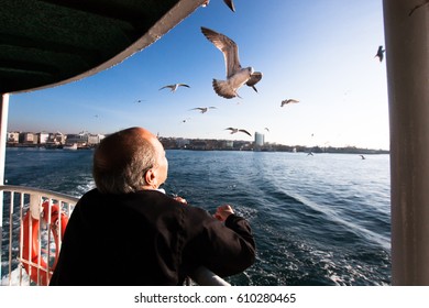 Alter Mann füttert Seevögel während einer Fahrt mit der Fähre in Istanbul Türkei. Bosporus-Meer. Möwen in Istanbul