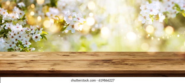 Fondo de primavera con flores blancas y rayos de sol frente a una mesa de madera