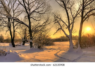 Matahari terbenam musim dingin yang indah dengan pepohonan di salju