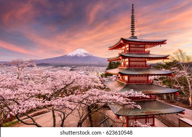 富士吉田、日本の Chureito パゴダと桜と春の富士山。