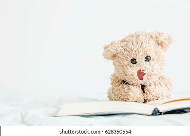 Der Teddybär liest Literatur, die in eine Fantasiewelt eintaucht