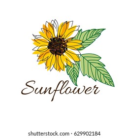 Search: girasol Logo Vectors Free Download