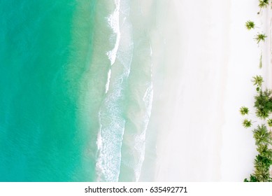 ターコイズブルーの海の水とヤシの木、空中ドローンショットと美しい白い砂浜の上面図