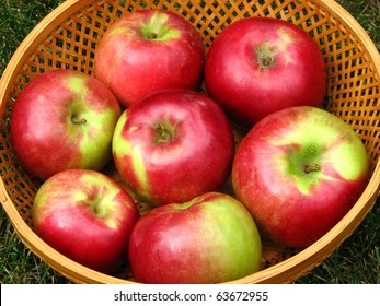 Macintosh æbler i kurv