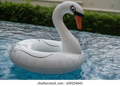 Cisne blanco inflable flotando en la piscina al aire libre