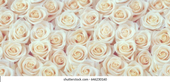 Horizontales nahtloses Muster der weißen Rosen. Arrangement aus weißen Rosen.
