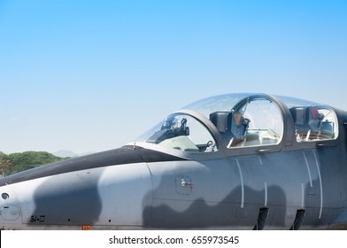 Hoofd F-16 straaljager van Royal Air Force, vliegtuigen