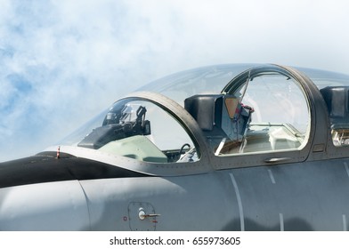 Hoofd F-16 straaljager van Royal Air Force, vliegtuigen