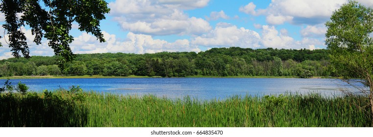 森の湖
