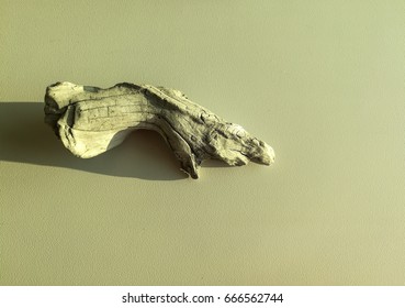 Over Exposure view of dry wood on a sunny day