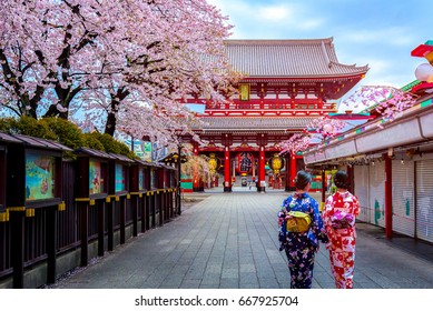 東京・浅草の浅草寺にある日本の伝統的な着物を着た2人の芸者。