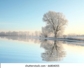 Picturesque winter landscape of frozen trees illuminated by the rising sun.