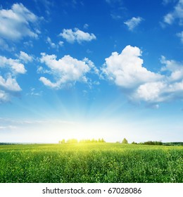 Pemandangan musim panas dengan bidang rapeseed, langit biru dan matahari.