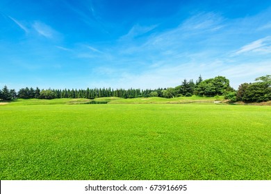 campo verde y cielo azul