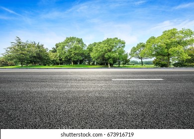 carretera asfaltada y árbol verde en el campo