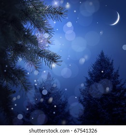 Forêt enneigée la nuit de Noël