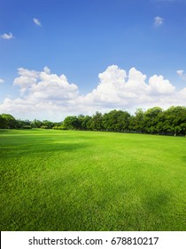 公共公園の芝生と緑豊かな環境の背後にある青い空