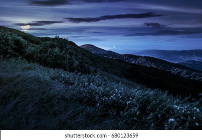 grassy meadow on a hillside at midnight. mountain landscape at night in full moon light