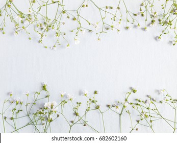 Blumenmuster von Wildblumen. Zusammensetzung von Blumen und Pflanzen. Ansicht von oben. Floraler abstrakter Hintergrund. Kleine weiße Blumen auf blauem Papierhintergrund. Blumenkonzept.