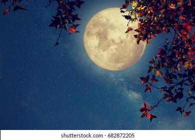 Beautiful autumn fantasy - maple tree in fall season and full moon with milky way star in night skies background. Retro style artwork with vintage color tone