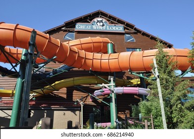Search: great wolf lodge Logo Vectors Free Download
