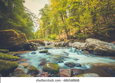 Beautiful river in forest nature. Peaceful toned nature background