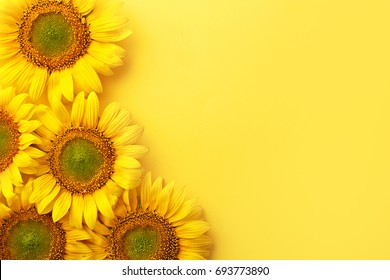 Sonnenblumen auf gelbem Hintergrund. Platz kopieren. Ansicht von oben