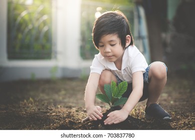 黒い土に若い木を植えるかわいいアジアの子供