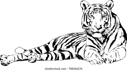 Tiger hand Logo Vector (.AI) Free Download