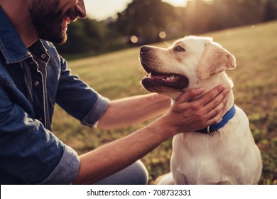 Cropped image of handsome young man with labrador outdoors. Man on a green grass with dog. Cynologist