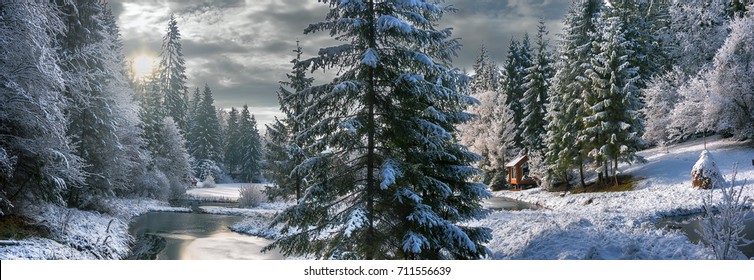 ヴィート湖のカルパティア山脈の冬の森