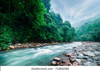 Mysteriöser Bergdschungel mit Bäumen, die sich über einen schnellen Strom mit Stromschnellen lehnen. Magische Landschaft aus Regenwald und Fluss mit Felsen. Wilde, lebendige Vegetation des tropischen Waldes. Nord-Sumatra, Indonesien.