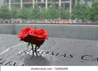 Roses at the 9/11 Memorial