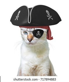 トリコーン ハットと頭骨とどくろ、白い背景で隔離の眼帯を身に着けている猫海賊船長の面白い動物衣装