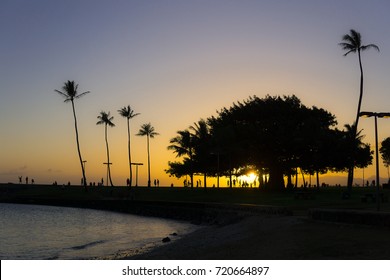 Waikiki beach ala moana magic island sunset with giant tree next to palm trees next to a beach