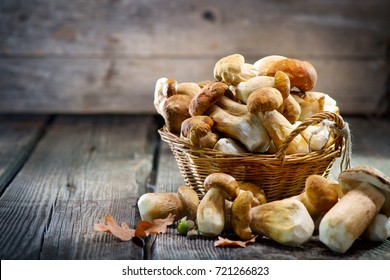Boletus de setas sobre fondo de madera. Autumn Cep Mushrooms. Ceps Boletus edulis sobre fondo oscuro de madera, de cerca en la mesa rústica de madera. Cocina deliciosa seta orgánica. Comida gourmet