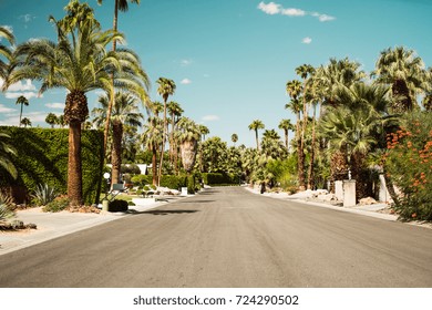 Ulice Palm Springs v kolonii Vintage filmu Palmy a hory a prázdná silnice.