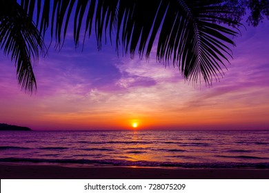 Silueta de palmeras al atardecer. Hermosa puesta de sol sobre el mar