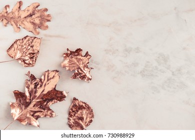 Autumn Rose HD wallpaper download