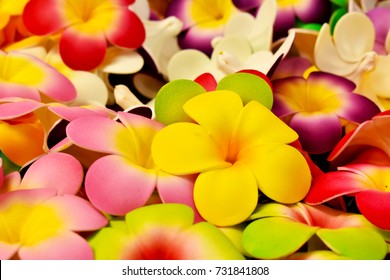 Kleurrijke bloemen, kleurrijke bloemen kunnen worden gebruikt als een perfecte achtergrondafbeelding