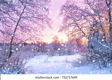 hermoso paisaje de invierno con bosque, árboles y amanecer. mañana invernal de un nuevo día. paisaje de invierno púrpura con puesta de sol