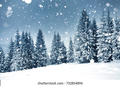 Fondo de navidad con abetos nevados y fuertes nevadas
