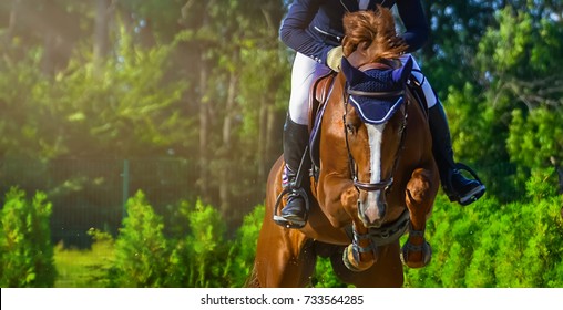 Sauerampfer Dressurpferd und Reiter in Uniform durchführen Sprung beim Springwettbewerb. Pferdesport Hintergrund. Kastanienpferdeporträt während des Dressurwettbewerbs. Selektiver Fokus.
