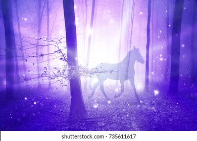 Magisches lila nebliges Licht im Wald mit Pferd. Abstraktes Einhorn im Märchenwald. Doppelbelichtungstechnik verwendet.