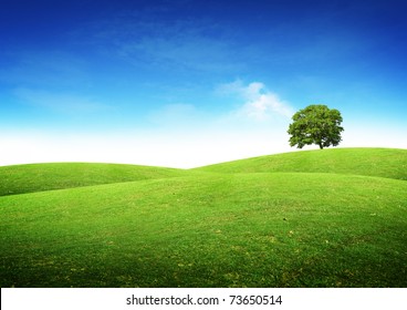 Rolling Hills 2K wallpaper download